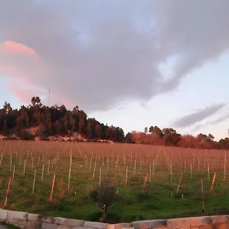 Cortes Do Douro Farma *