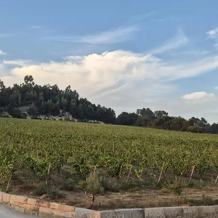 Farma Cortes Do Douro